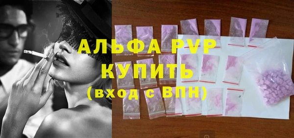 мяу мяу мука Иннополис