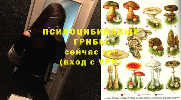мяу мяу мука Иннополис