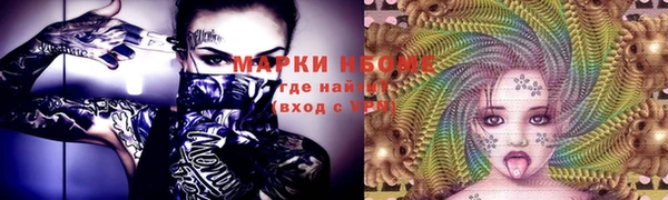 мяу мяу мука Иннополис